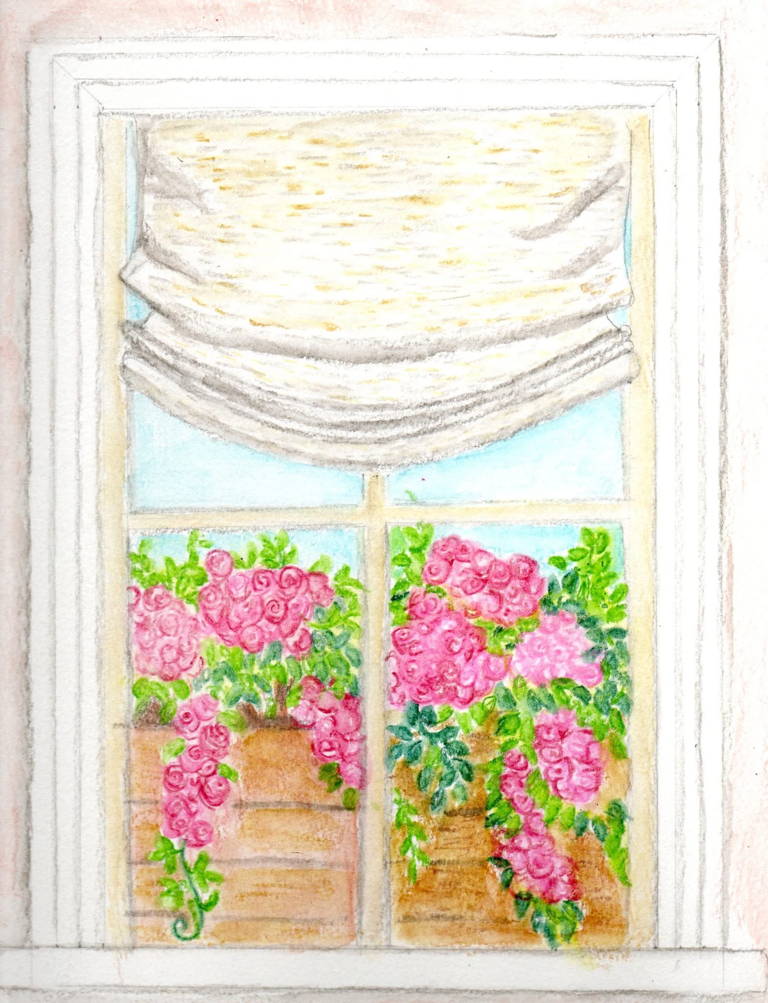 Summer Drapery