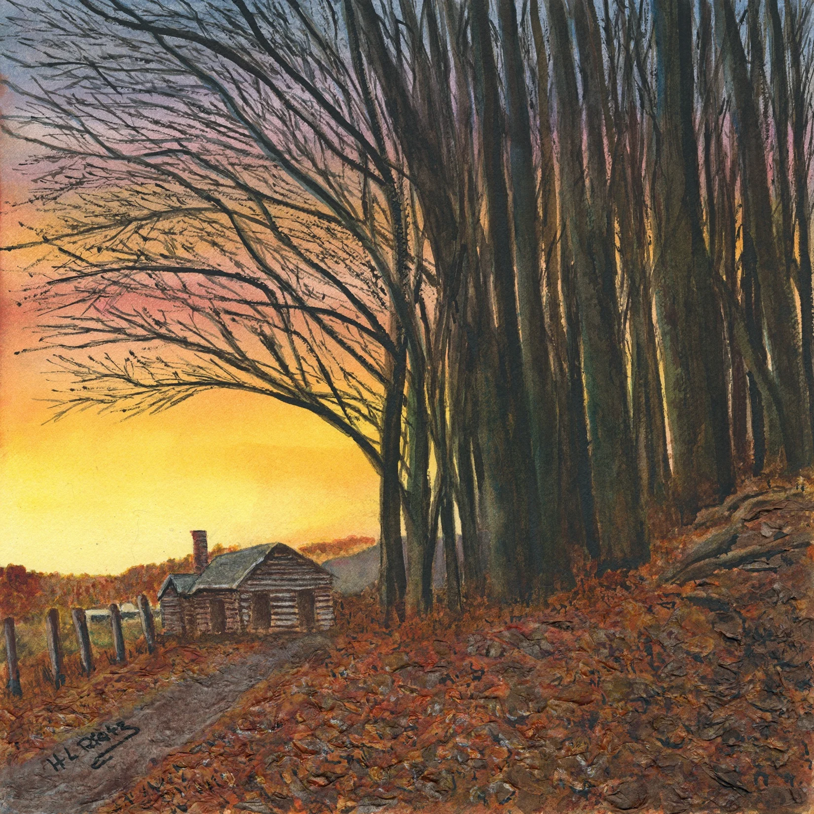 Home By Dawn