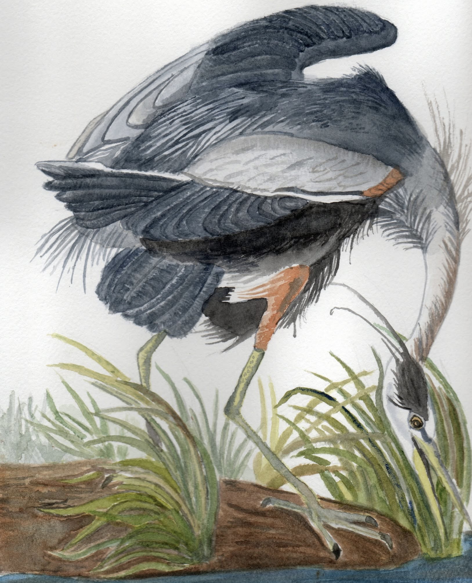 In the Reeds