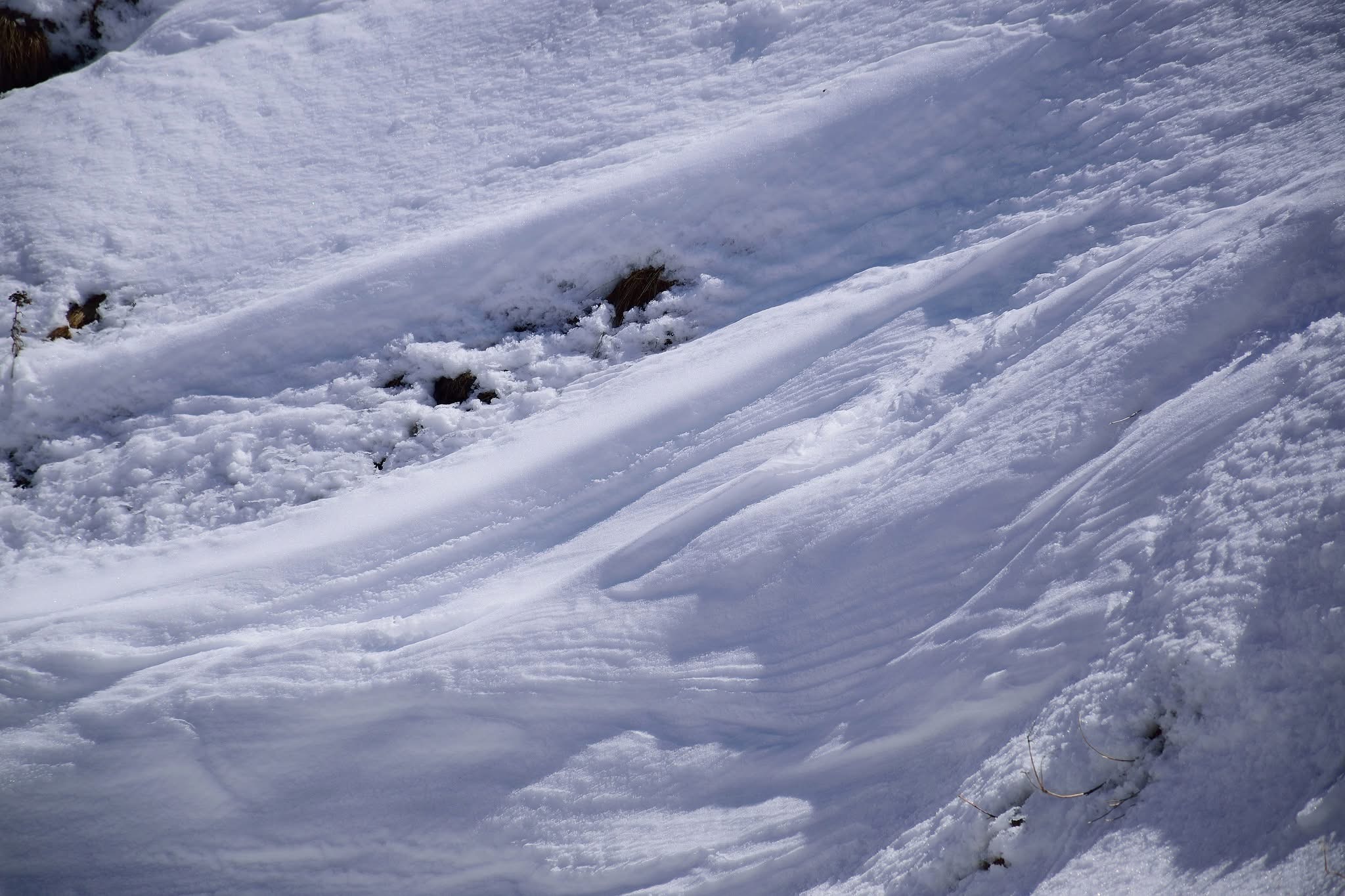 Untouched Snow