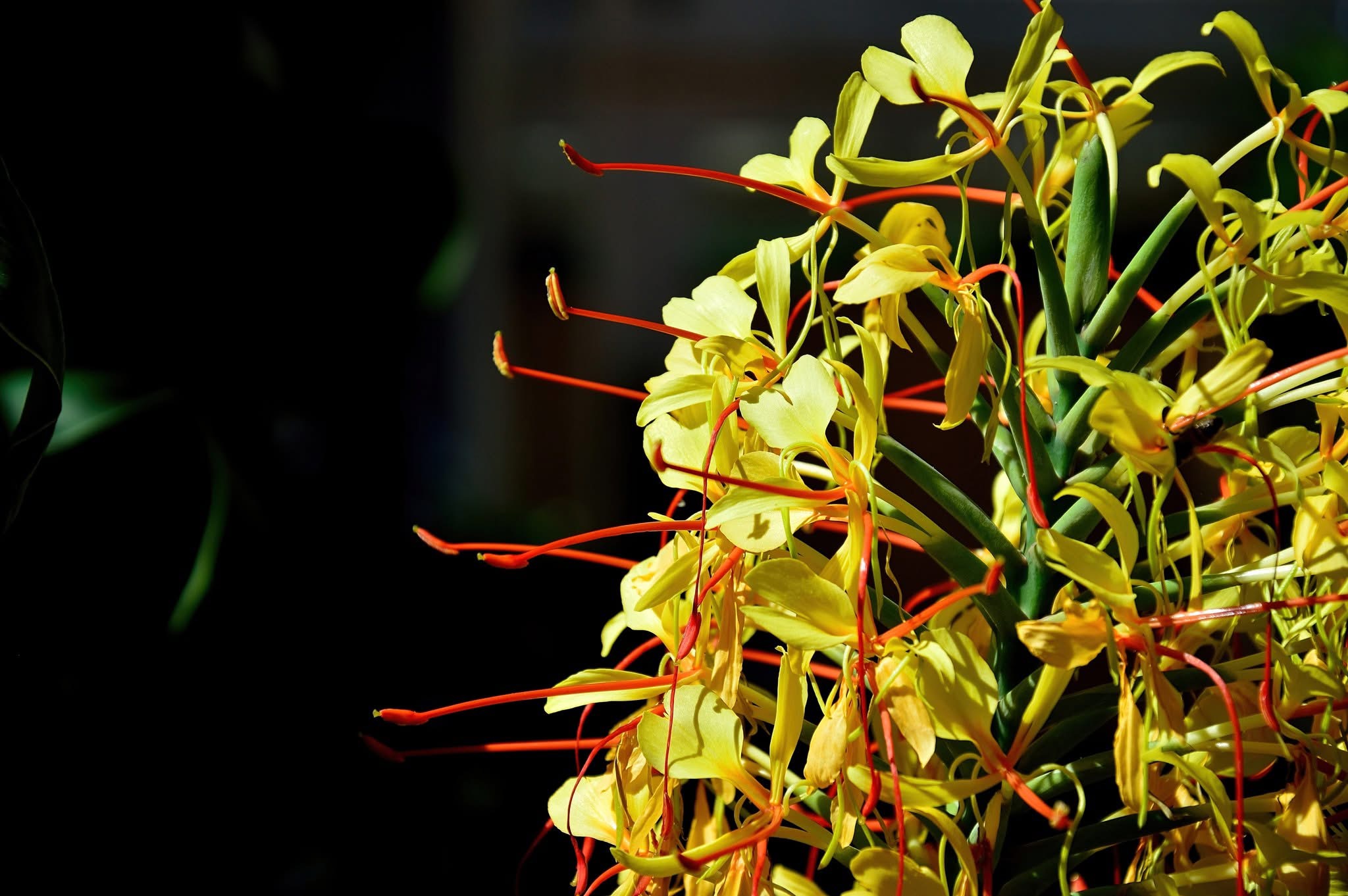 Yellow Awesomeness