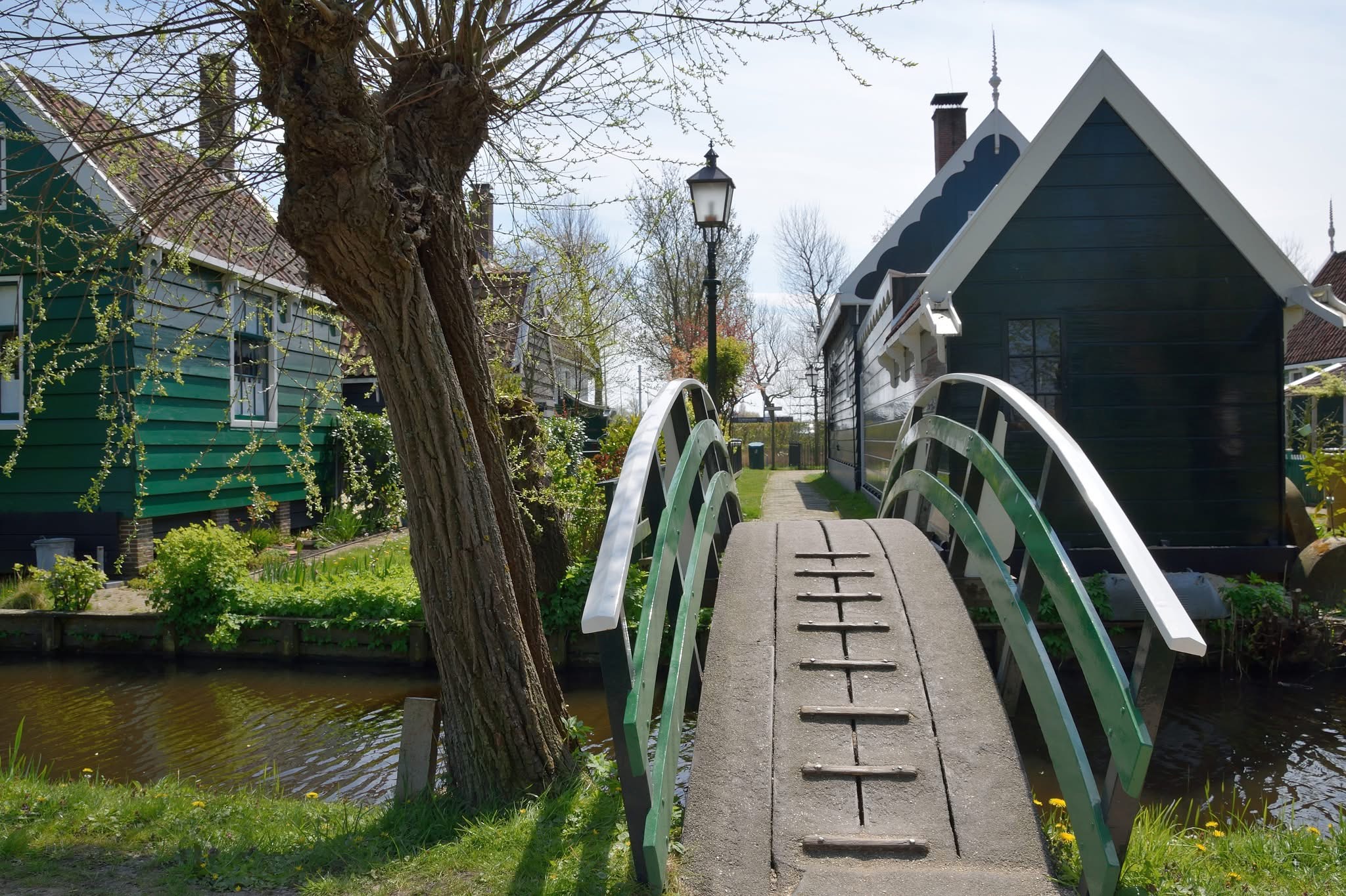 Curved Bridges