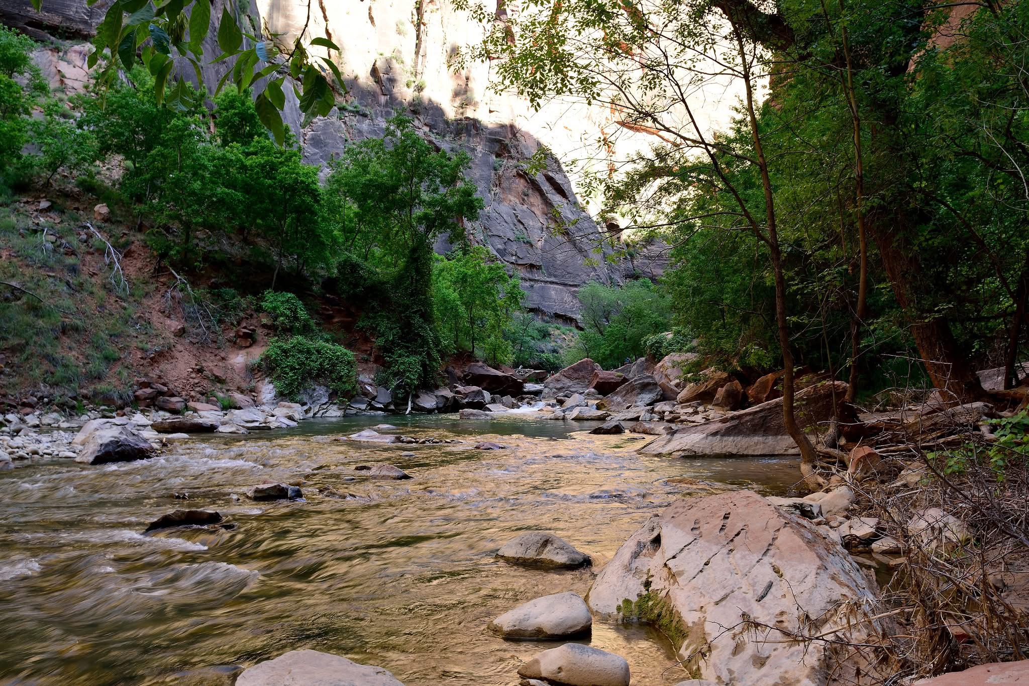Shallow Waters